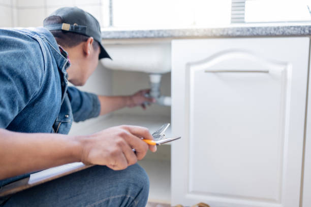 Best Toilet Repair Services  in Osceola, WI