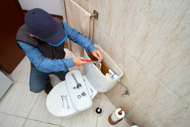 Best Local Plumber Services  in Osceola, WI