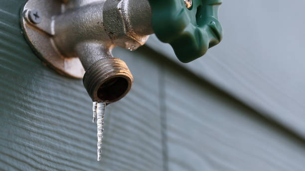 Best Plumbing Inspection Services  in Osceola, WI