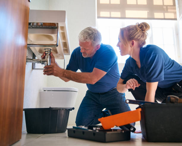 Best Septic Systems  in Osceola, WI