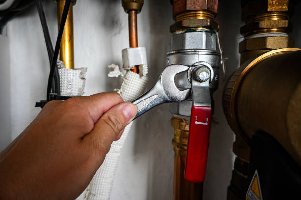 Best Residential Plumbing Services  in Osceola, WI